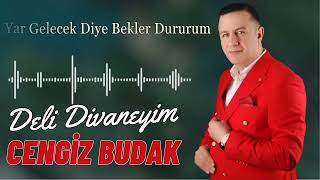 Cengiz Budak - Deli Divaneyim \