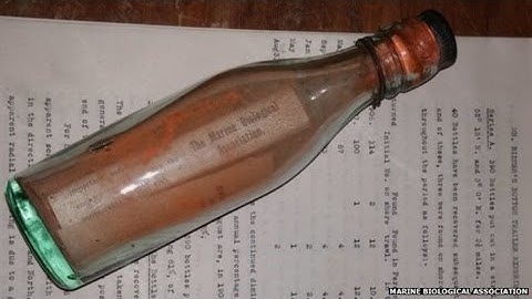 108-Year-Old Message in a Bottle Found