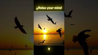 Relaxing Nature Video for Stress Relief 🌅 Calm Ocean Waves, Seagulls&amp;Sunset Beach White Noise Sleep