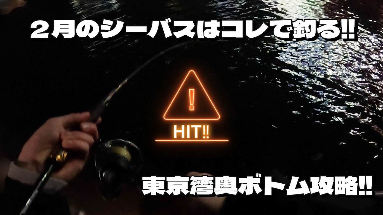 【再現性あり⁉】2月の東京湾奥シーバス釣行！！