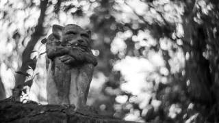 The Gargoyle  in timelapse