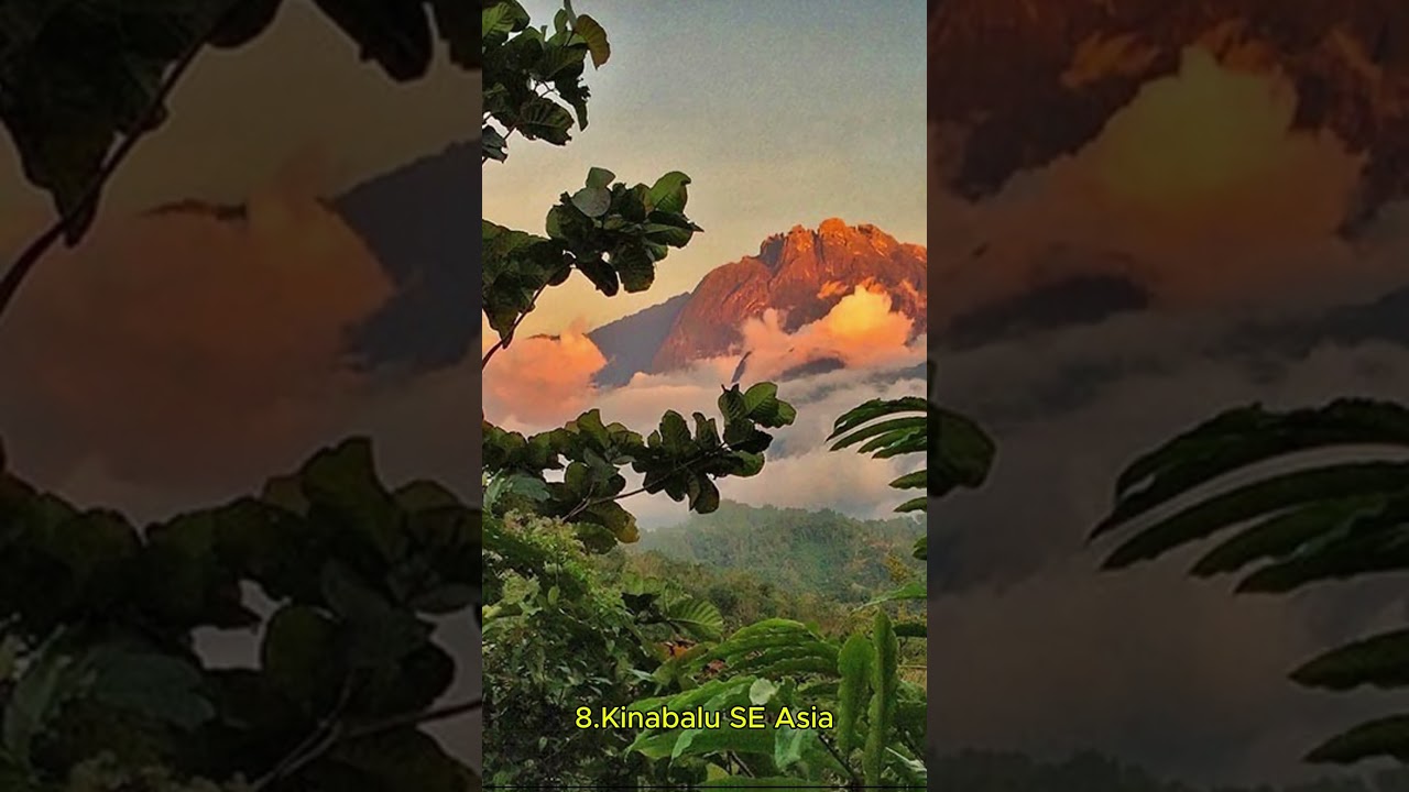 Top 10 Largest Forests in the World 🌲🌍 