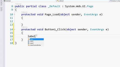 Case Sensitive Tutorial ASP.Net
