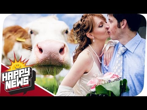 Reiche männer kennenlernen österreich
