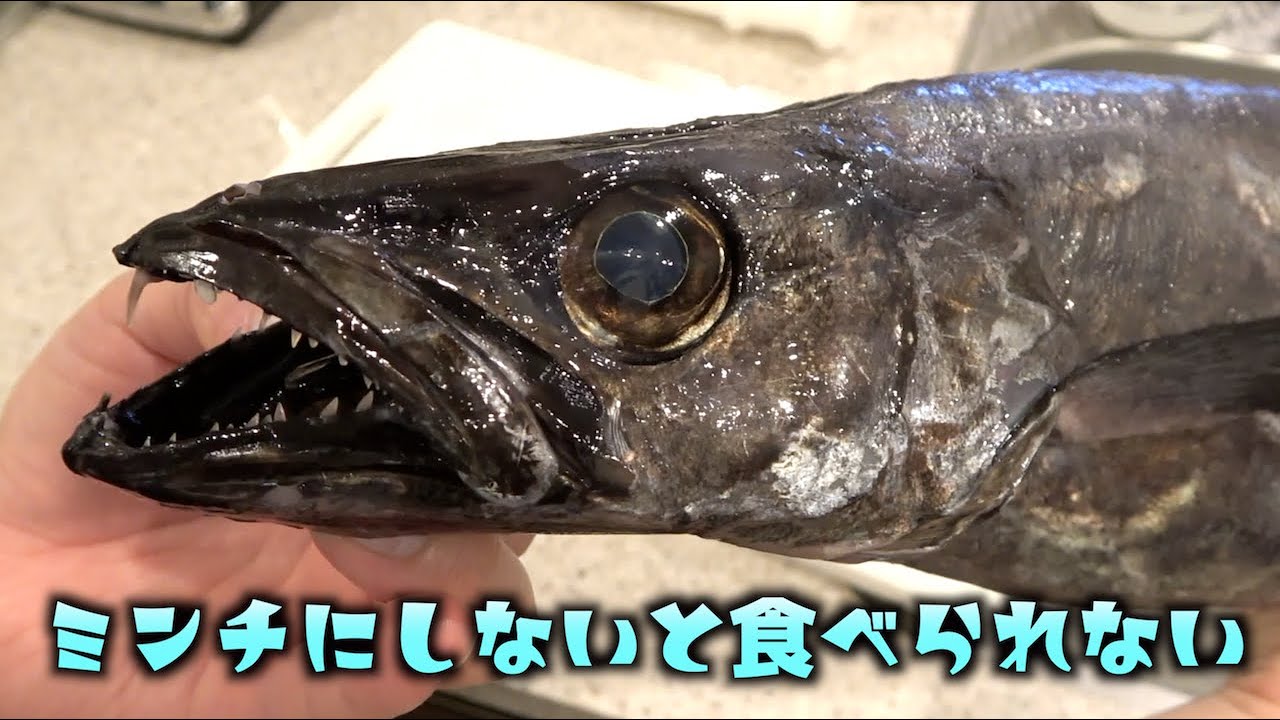 トミックがuuum退所 理由や他の事務所への所属予定についてご紹介 Appbank