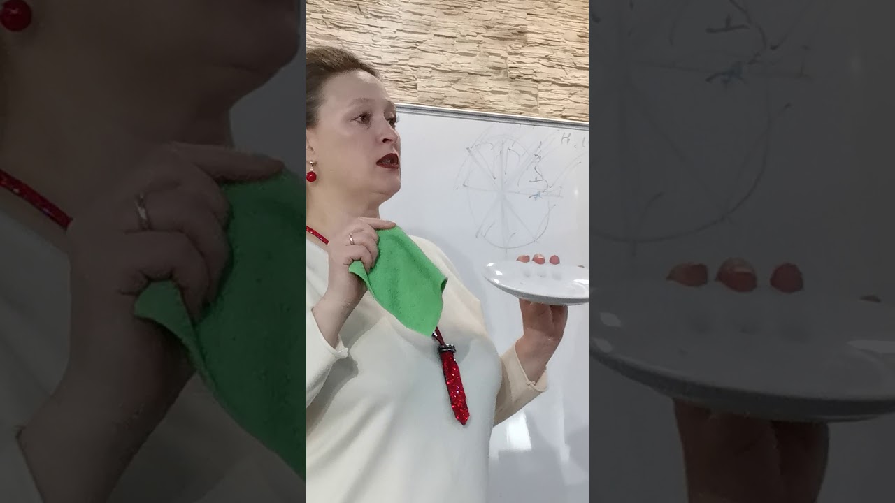 ЭКОярмарка / Морозов Павел