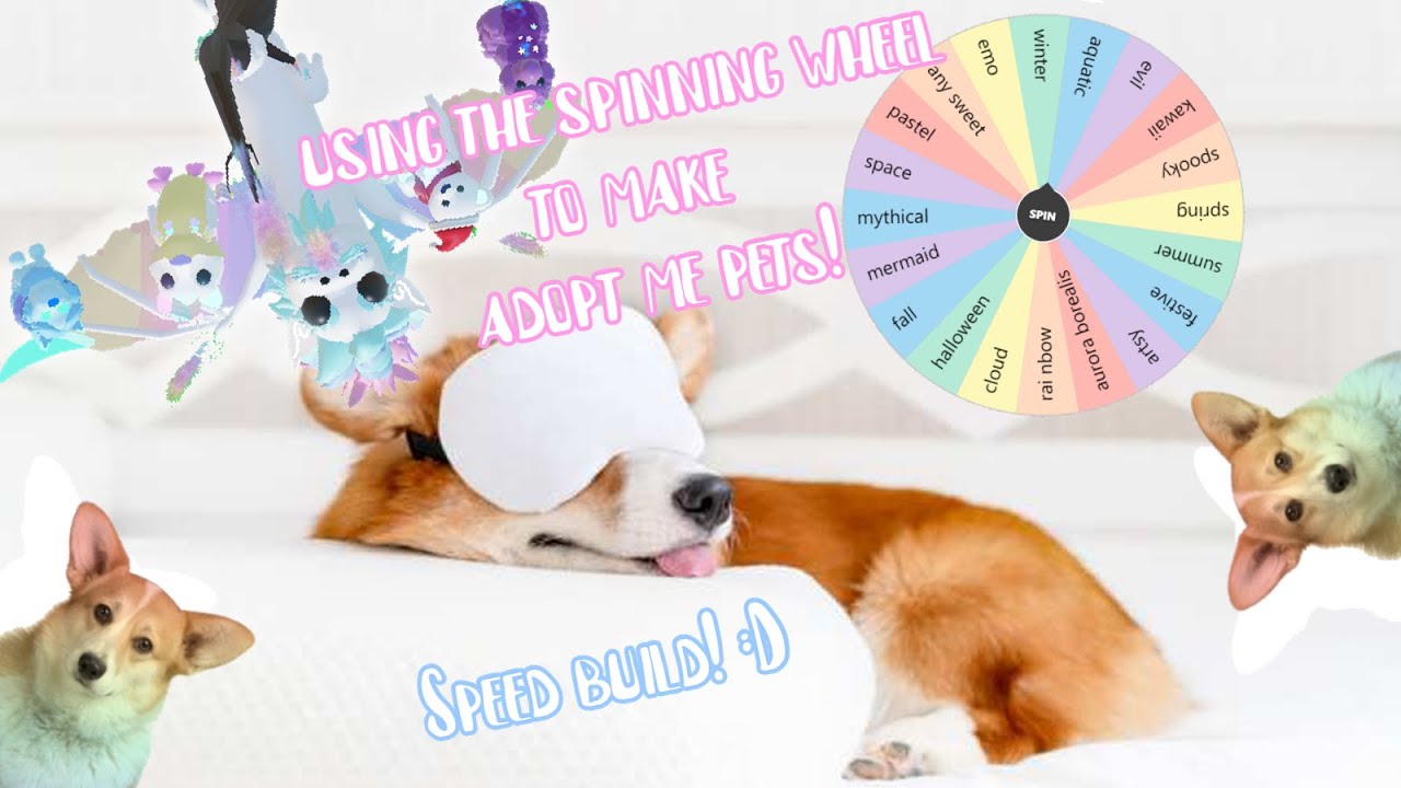 using the spinning wheel to make adopt me pets! (speed build o) YouTube