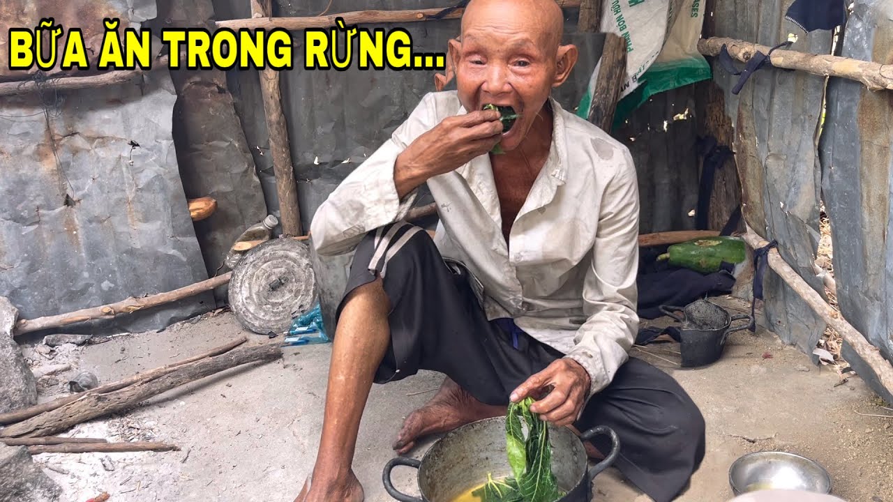 Ông Cụ Sống Giữa Rừng, Mỗi Ngày Chỉ Ăn Lá Như Thế Này | Kiệt 85 TV