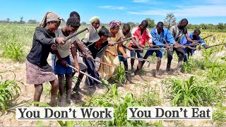 Ploughing Our Field | How We Protect Our Harvest From Thieves | Namibian Village Life