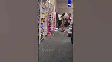 CVS thieves caught on camera in Maryland