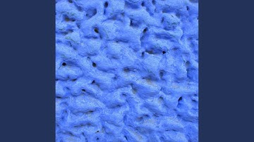 Majestic Backdrops for Hidden Favorites