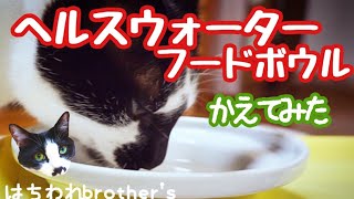 【レビュー】ヘルスウォーターフードボウルに変えてみた　I changed the food bowl