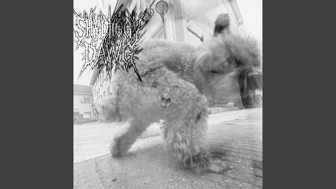 tacobell chicken chilupa