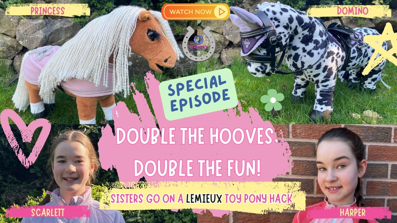 Double The Hooves! 🐴🐴 Sisters Go On A LeMieux Toy Pony Hack… What Happens Next?!