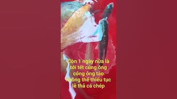 Tục thả cá chép không thể thiếu trong ngày cúng ông công ông táo,#shortvideo,#shorts,#mientay,#tet