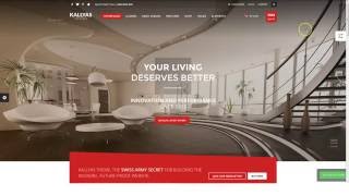 Famous KALLYAS Responsive Multi-Purpose WordPress Theme Net Worth