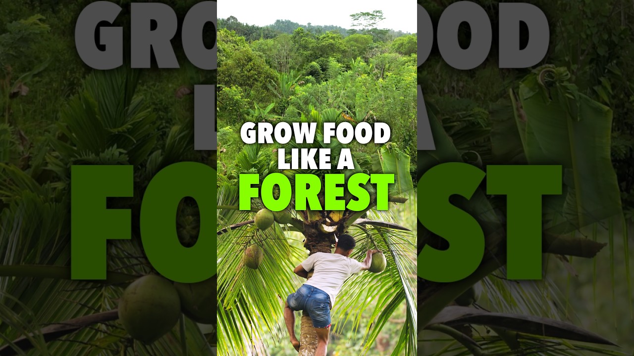 How a Food Forest Creates Multiple Sources of Income