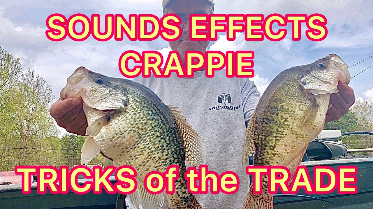 Crappie Fishing with Minnows TRICKS YOU DON’T KNOW (Minnow Coolers