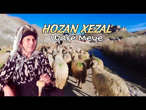 Hozan Xezal - Ware Meye-Duygulu Unutulmayan Yürekten Okunan Stran