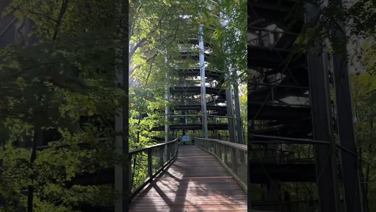 Baumwipfelpfad im Naturerbe Zentrum Rügen 