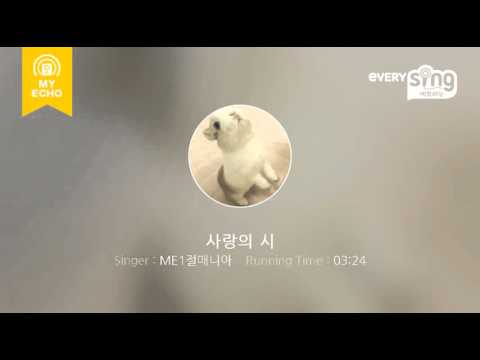 [everysing] 사랑의 시