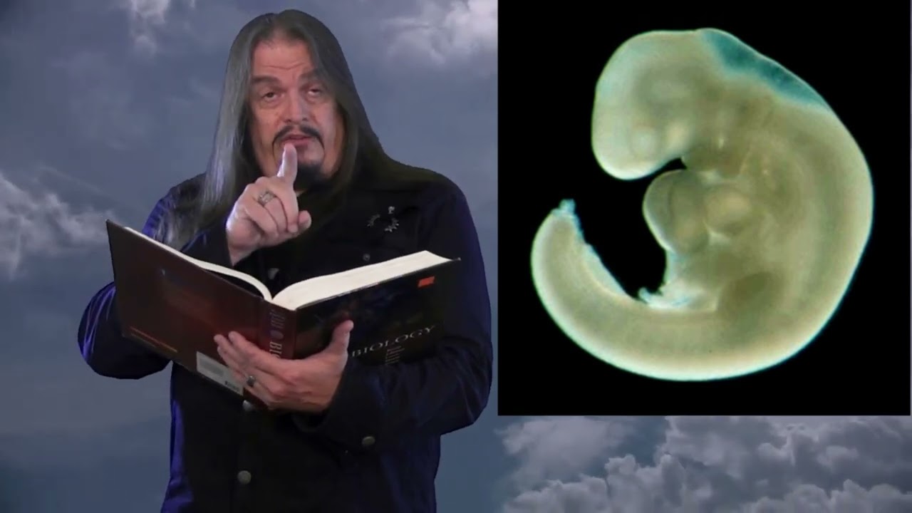 Ra vs. Hovind Chapter 01-18: The Human Tailbone IS Vestigial, Mr. Hovind!