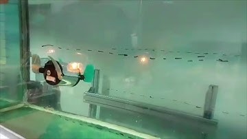 Underwater Robot - Closed-Loop Depth Control + Beacon - TalTech (Tallinn University of Technology)