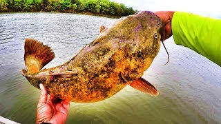Fall Catfishing Tips, Technique, and Complete Setup