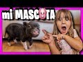 24 HORAS CON MI MASCOTA 🐷 TENGO UNA MASCOTA NUEVA