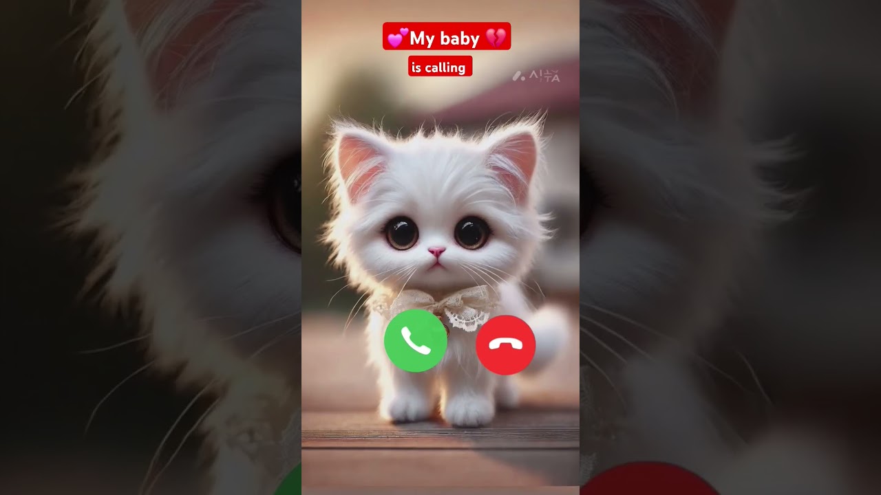 My baby is calling llMl teliphone sound effect ll 