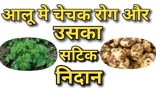 आलू की खेती में चेचक रोग से पाना है निदान तो करना होगा ये काम
