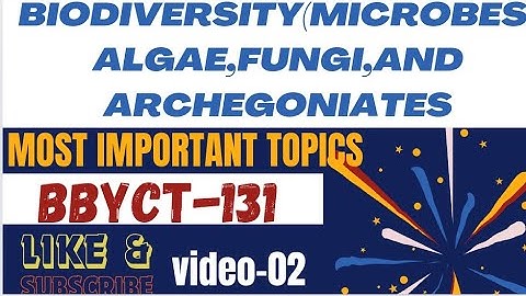 MOST IMPORTANT TOPICS OF BBYCT-131| BIODIVERSITY MICROBES ALGAE FUNGI AND