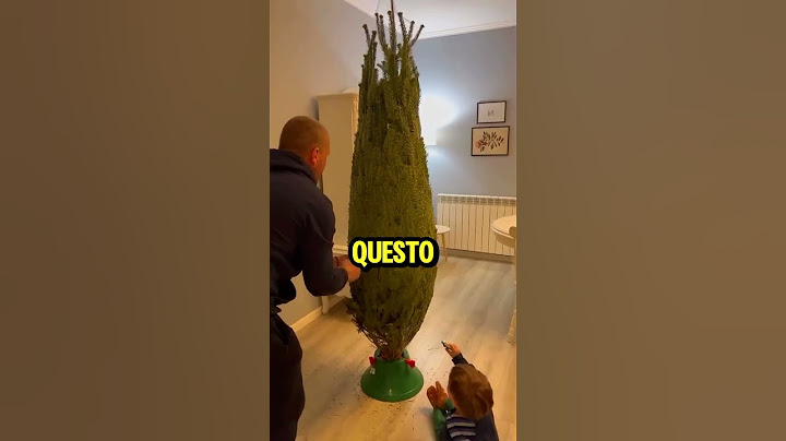 Un Albero di Natale🎄❄️ Che Trasforma le Lacrime in Gioia!😭➡️😊#shorts #virale #perte