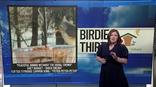 BIRDIE THIRTY: "Peaceful Dining Without the Usual Crowd" - EWN at 5:30am on 3-15-2026