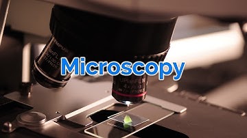 GCSE Biology - Microscopy