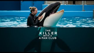 SeaWorld's Biggest Lie: The Real Story Behind Tilikum's Attacks