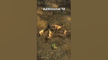 What Does Each Rex Brain Do in Fallout: New Vegas?