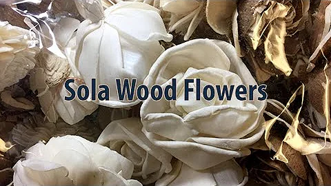 Unboxing Sola Wood Flowers
