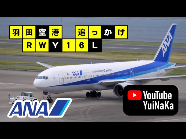 ANA67便/新千歳行き