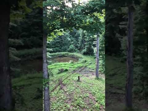 lizard skin grips Shot some tannerite