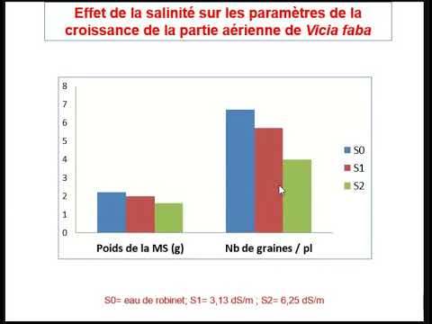 Vidéo: Le magnétisme affecte-t-il la croissance du projet d'expo-sciences des plantes ?