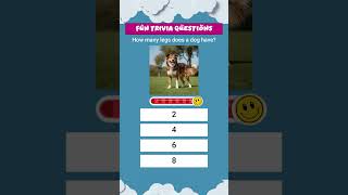 How Many Legs Does A Dog Have? Fun Animal Quiz For Kids