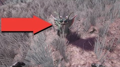 How to tame noglins without a trap