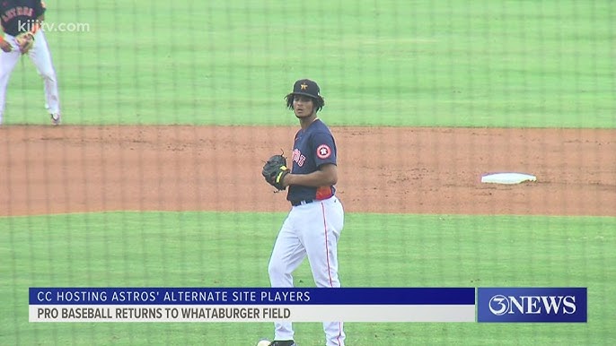 Major League Burgers at a Minor League Ballpark 