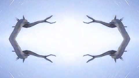 Skylapse Transformation Star Gate 4K