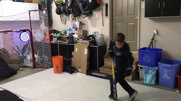 Electronic Hockey Net / Target