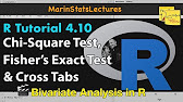 R Tutorial and Statistics Tutorial (All Videos) | MarinStatsLectures - YouTube