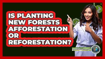 Is Planting New Forests Afforestation Or Reforestation? - Earth Science Answers