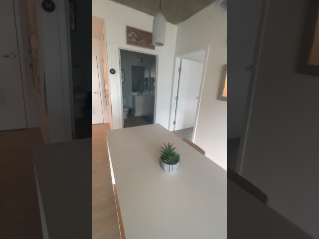 Video 1: kitchen and living room