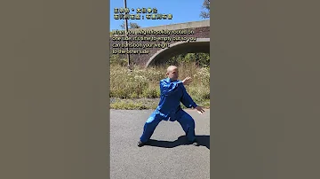 Chen Style Taiji Silk Reeling #chenstyletaichi #chenstyletaiji #martialart #kungfu #meditation